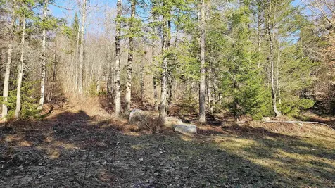 512 Woodbury Mountain Road Calais VT 05648