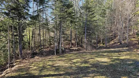 512 Woodbury Mountain Road Calais VT 05648