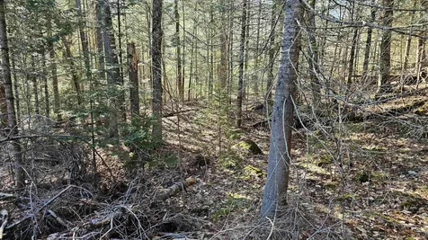 512 Woodbury Mountain Road Calais VT 05648