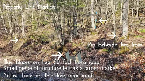 512 Woodbury Mountain Road Calais VT 05648