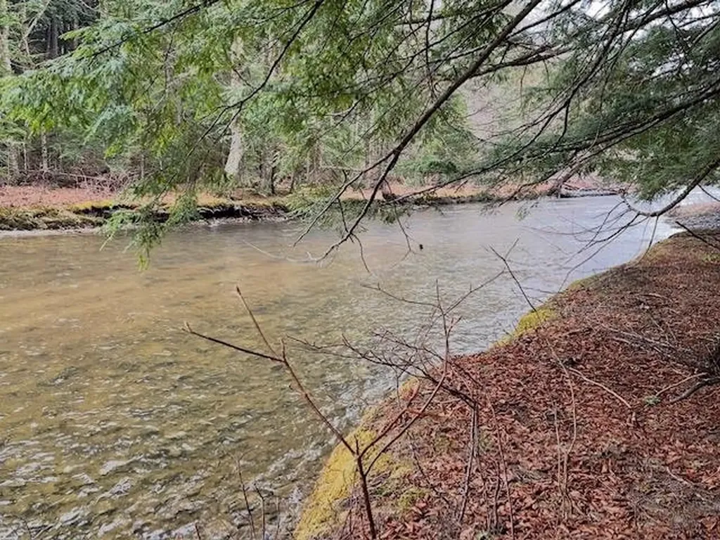 192 Pingree Park Lane Londonderry VT 05148
