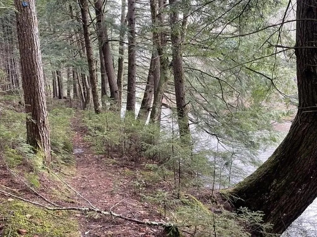 192 Pingree Park Lane Londonderry VT 05148