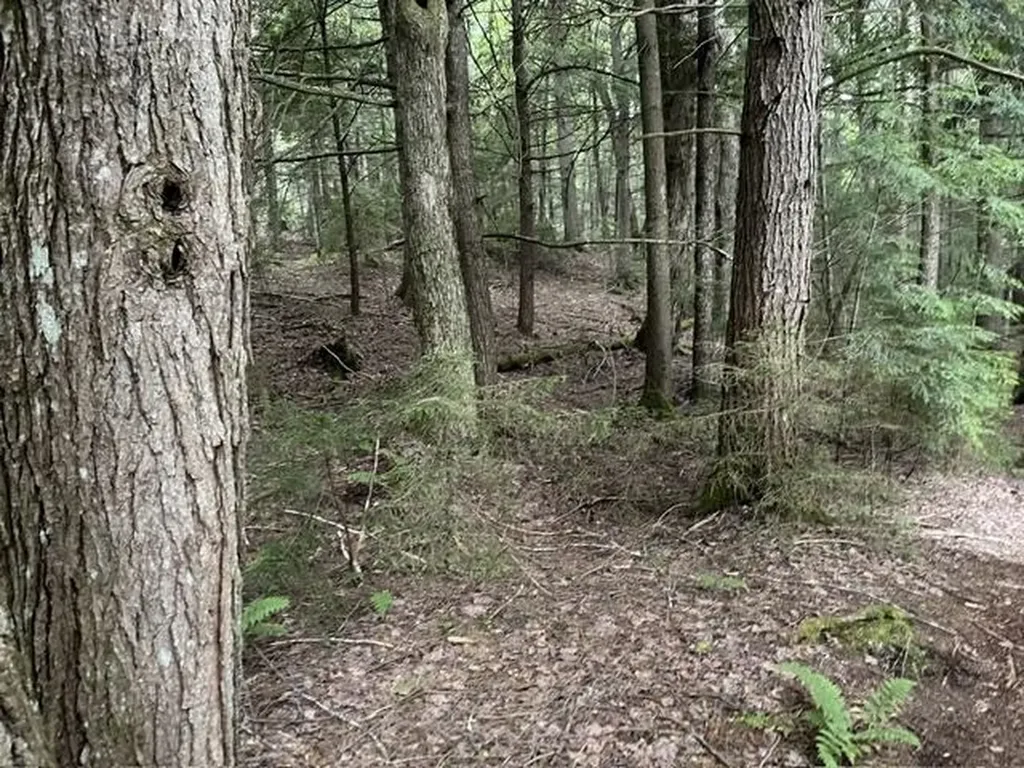 192 Pingree Park Lane Londonderry VT 05148