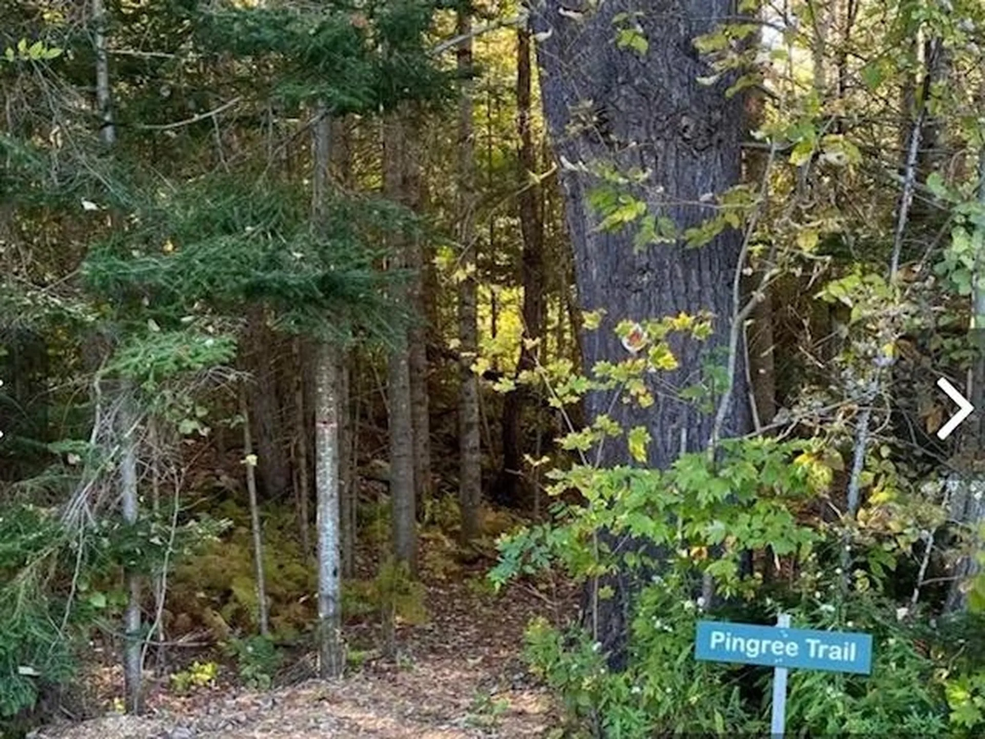 192 Pingree Park Lane Londonderry VT 05148
