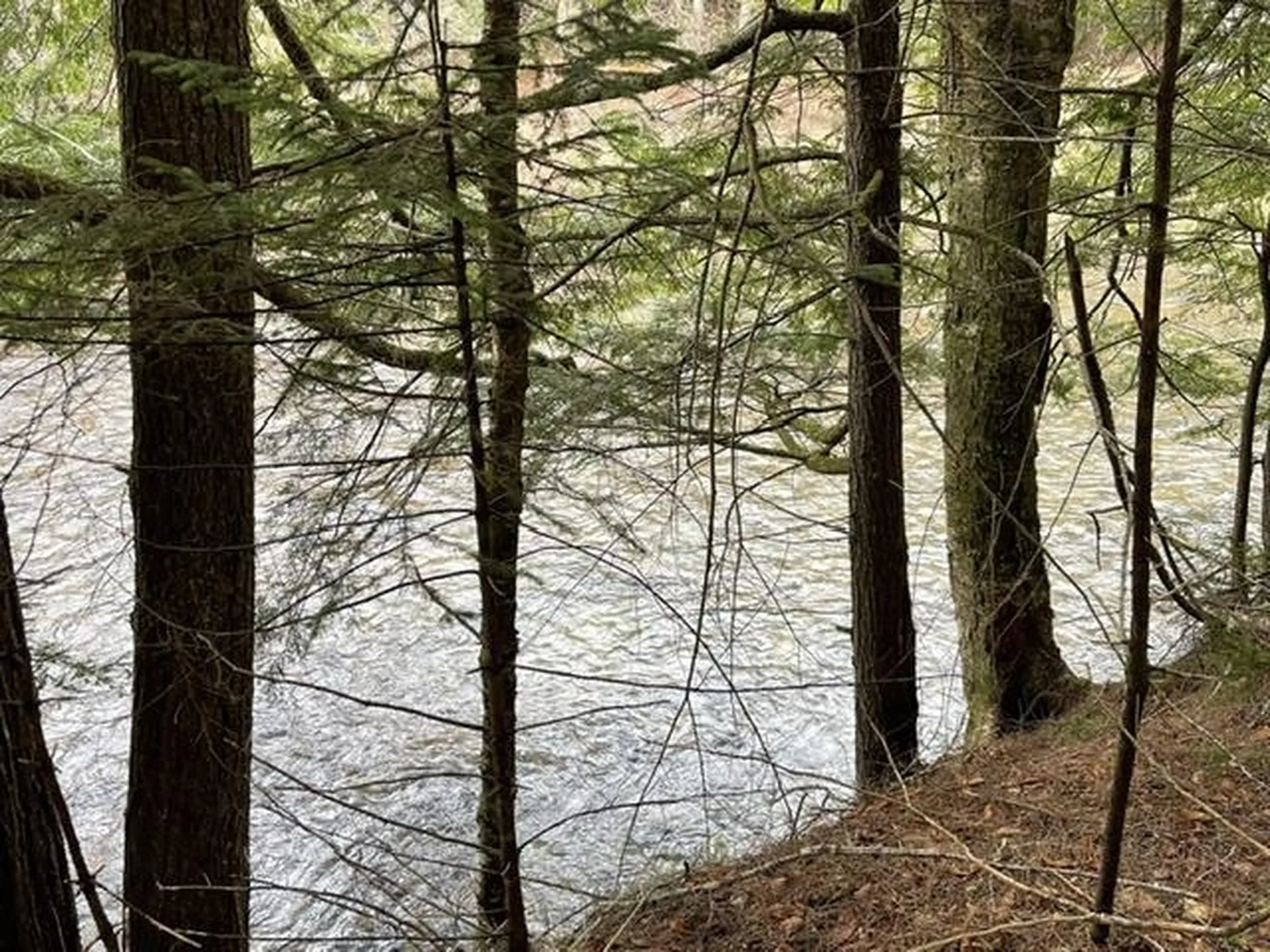 192 Pingree Park Lane Londonderry VT 05148