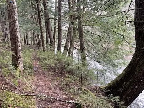 192 Pingree Park Lane Londonderry VT 05148