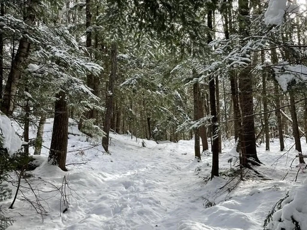 191 Pingree Park Lane Londonderry VT 05148