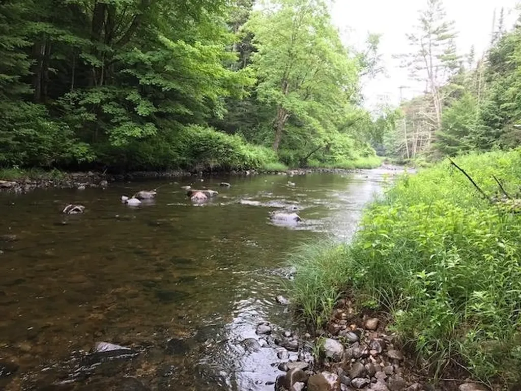191 Pingree Park Lane Londonderry VT 05148