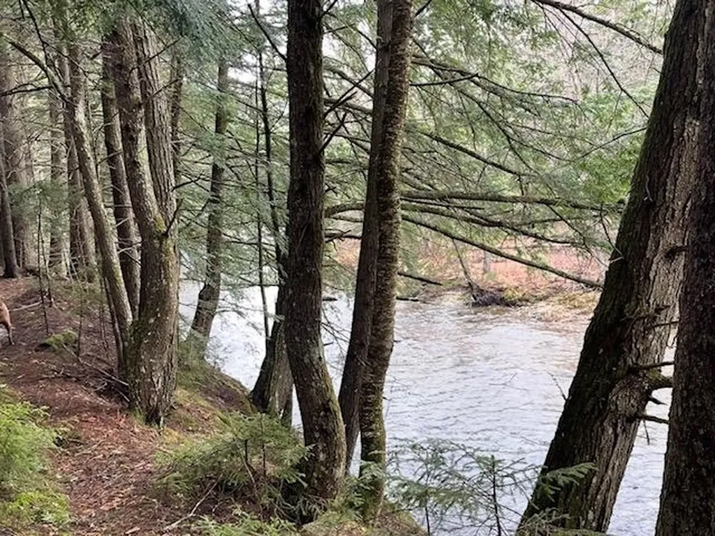 191 Pingree Park Lane Londonderry VT 05148