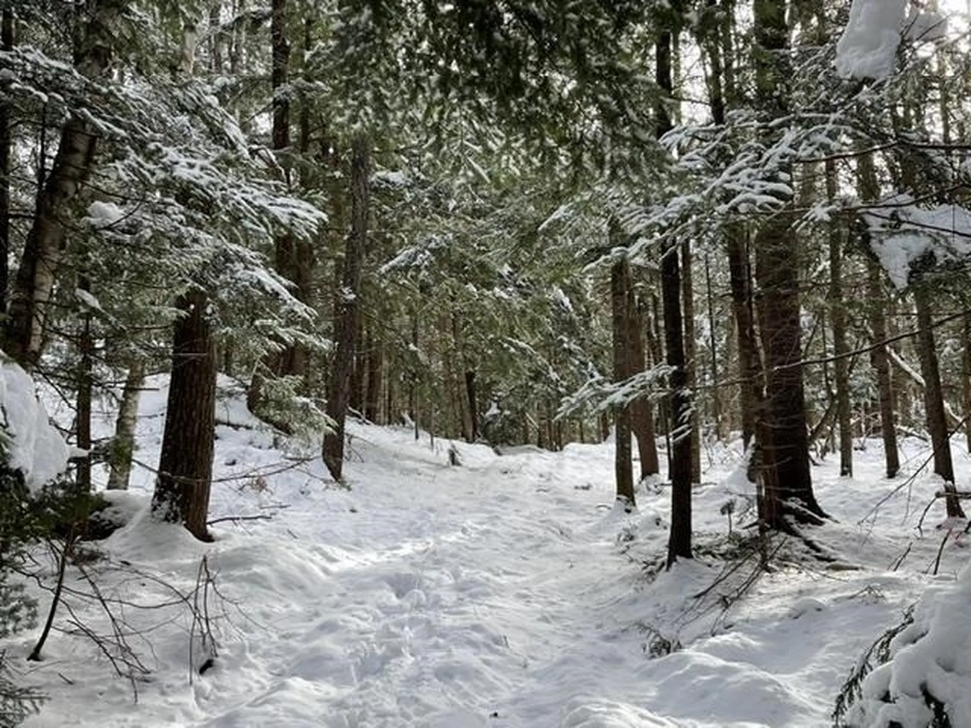 191 Pingree Park Lane Londonderry VT 05148