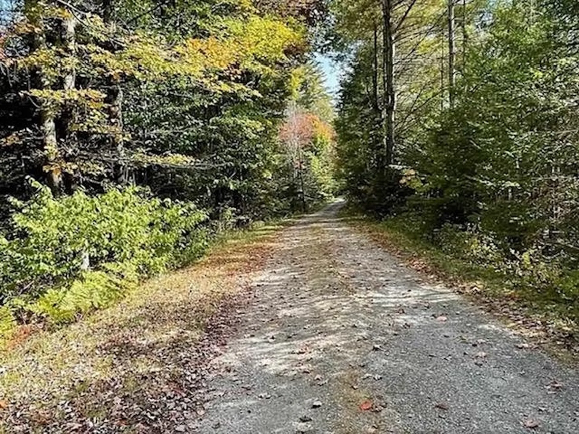 191 Pingree Park Lane Londonderry VT 05148