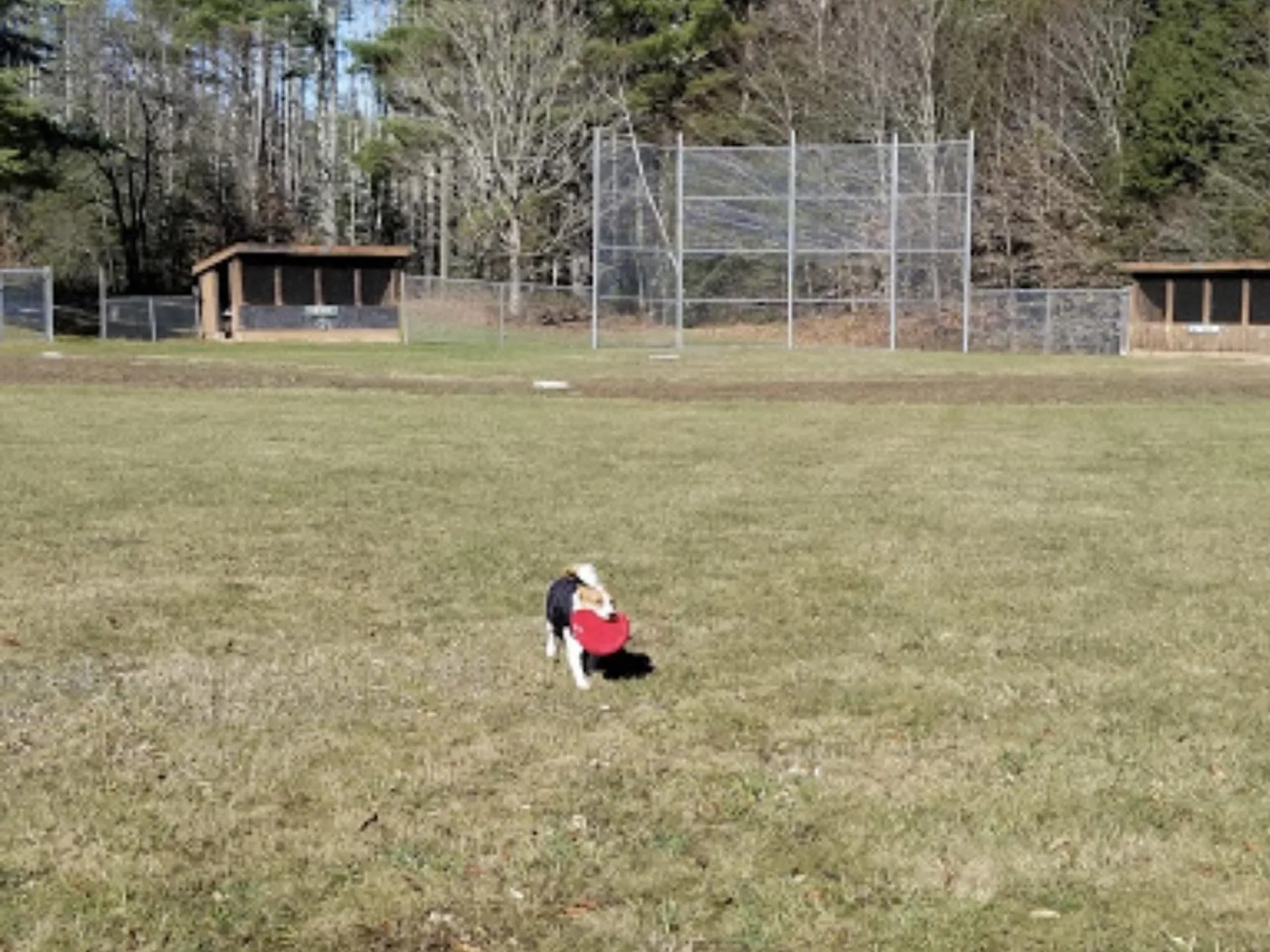 191 Pingree Park Lane Londonderry VT 05148