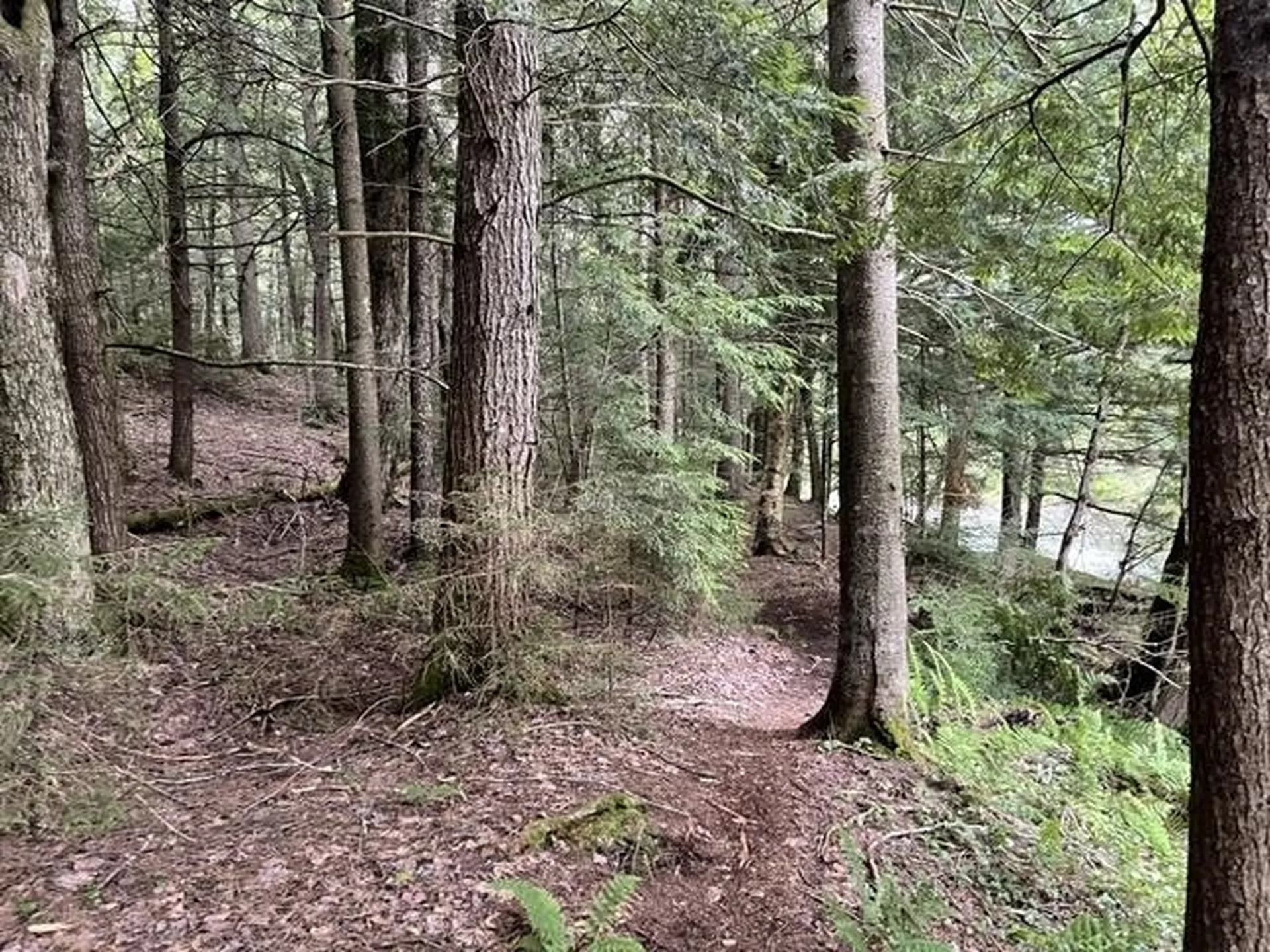 191 Pingree Park Lane Londonderry VT 05148