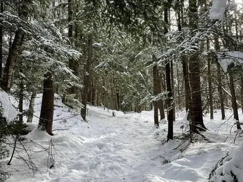 191 Pingree Park Lane Londonderry VT 05148