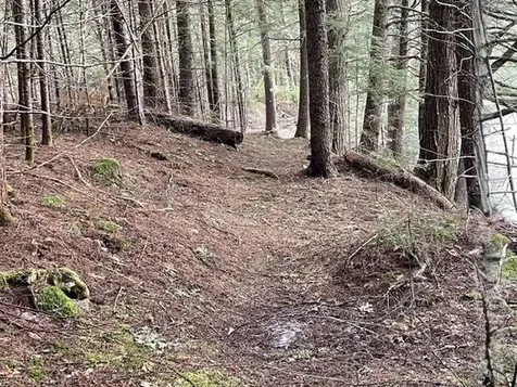 191 Pingree Park Lane Londonderry VT 05148