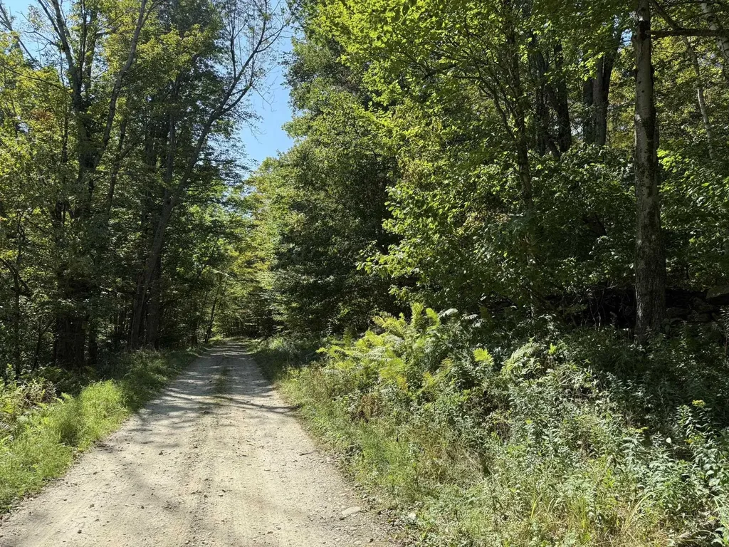 16 Schenk Road Stamford VT 05352