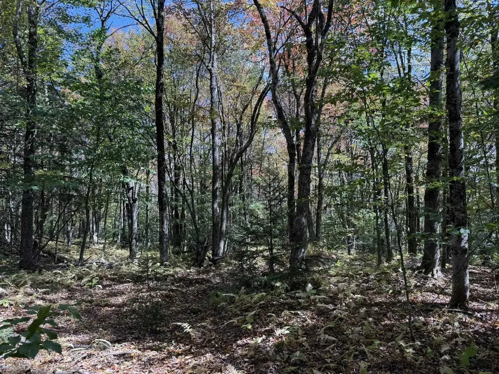 16 Schenk Road Stamford VT 05352