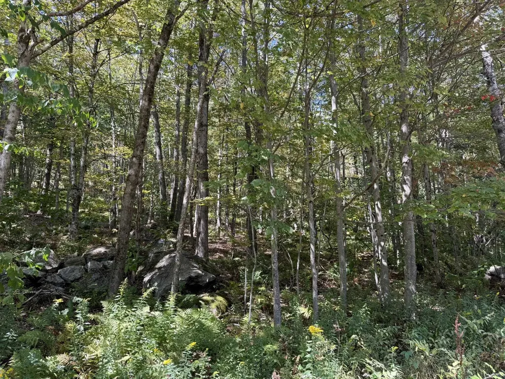 16 Schenk Road Stamford VT 05352