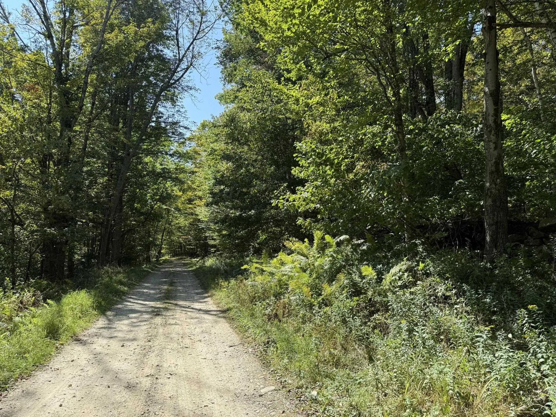 16 Schenk Road Stamford VT 05352
