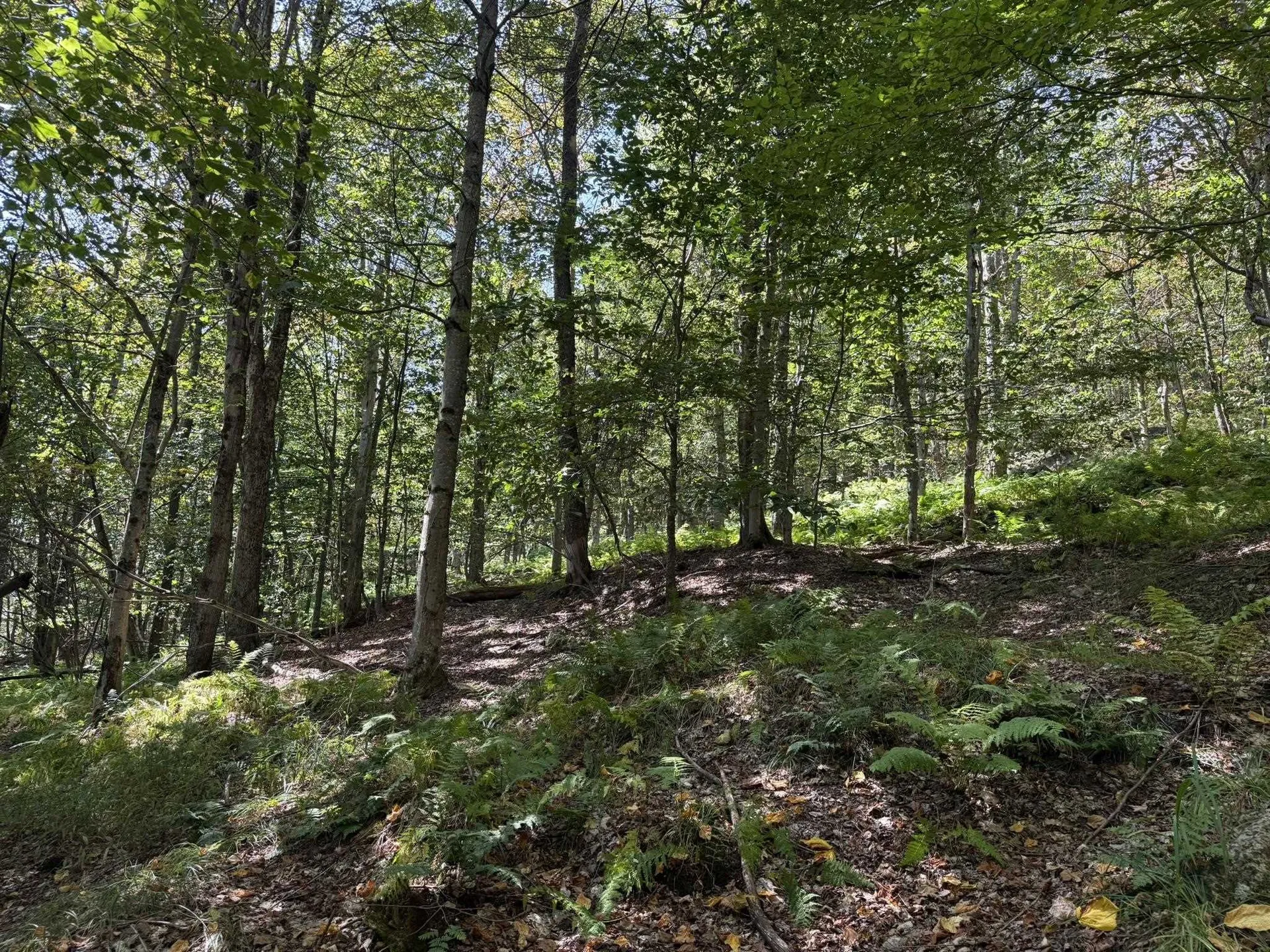 16 Schenk Road Stamford VT 05352