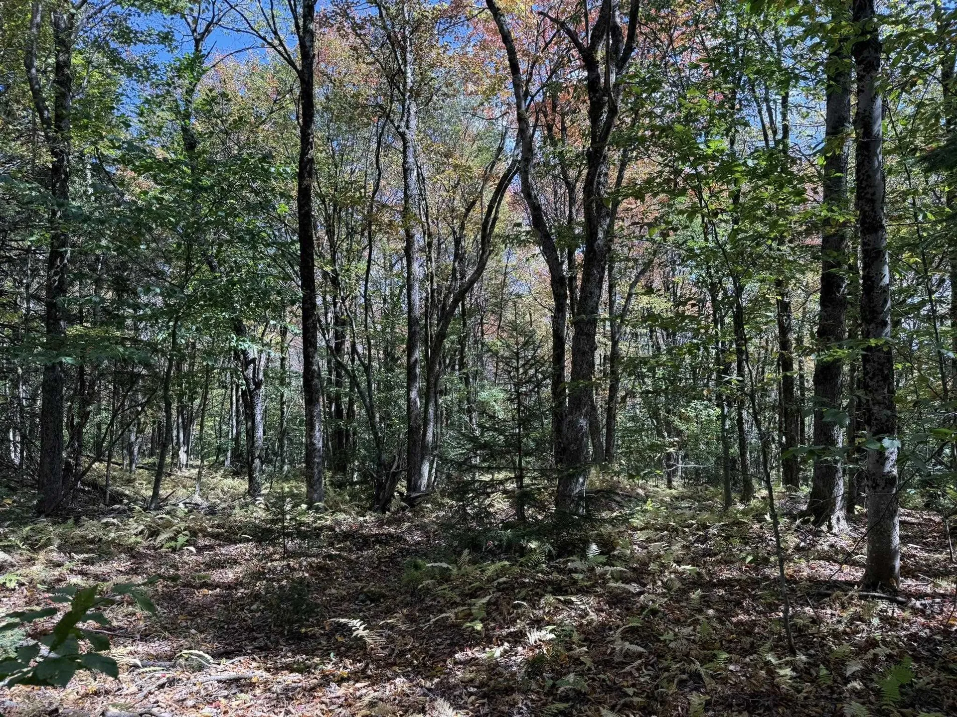 16 Schenk Road Stamford VT 05352
