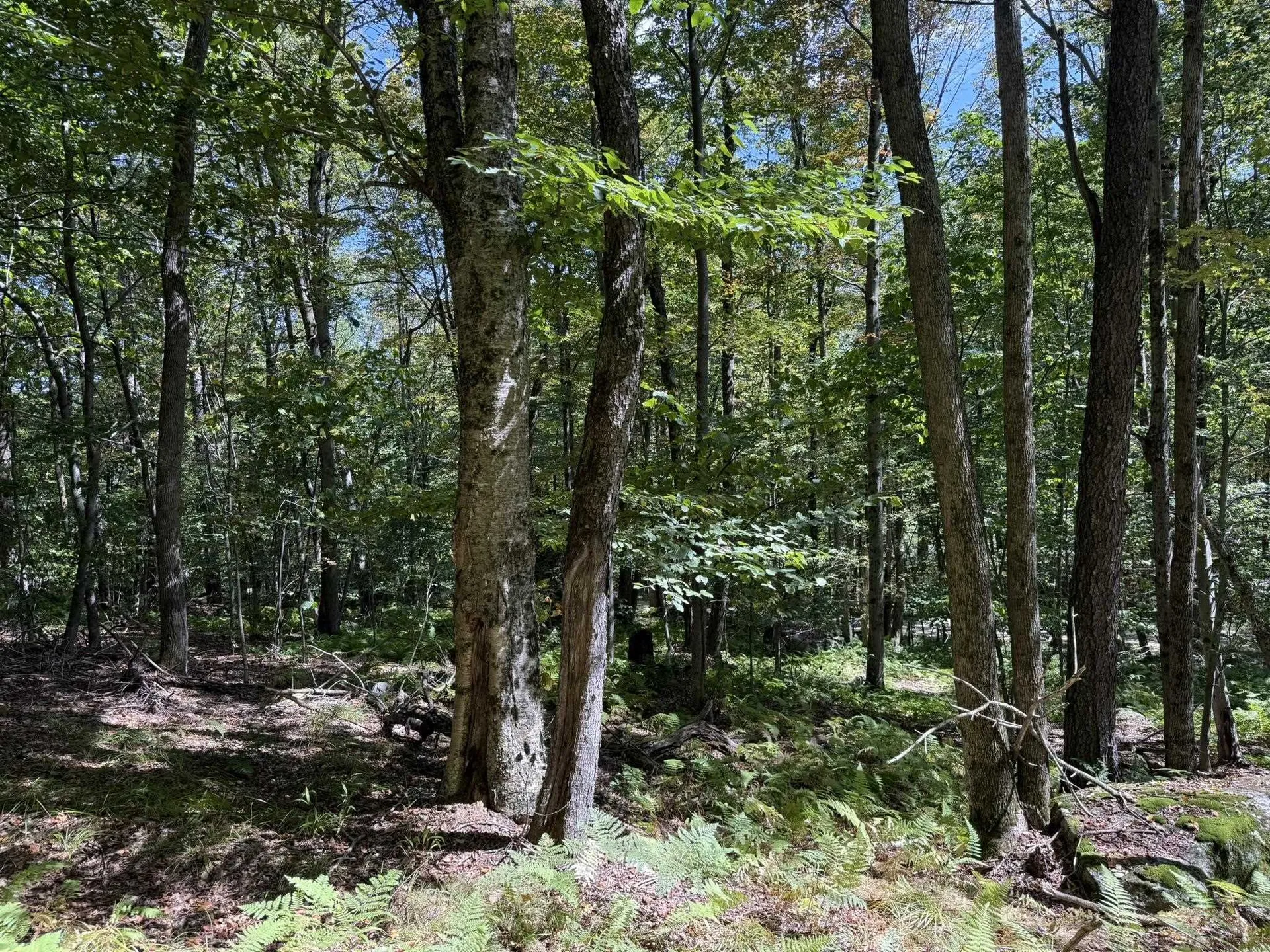 16 Schenk Road Stamford VT 05352