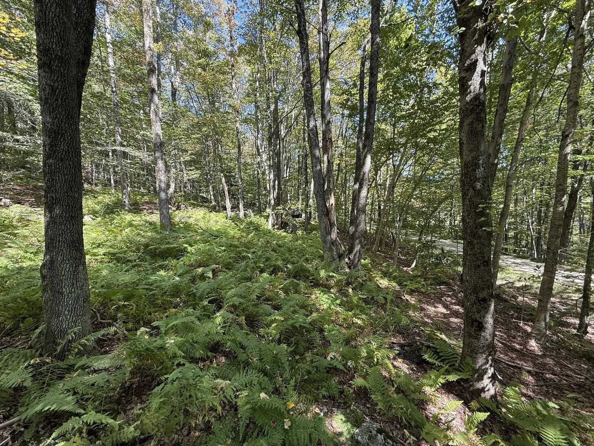 16 Schenk Road Stamford VT 05352