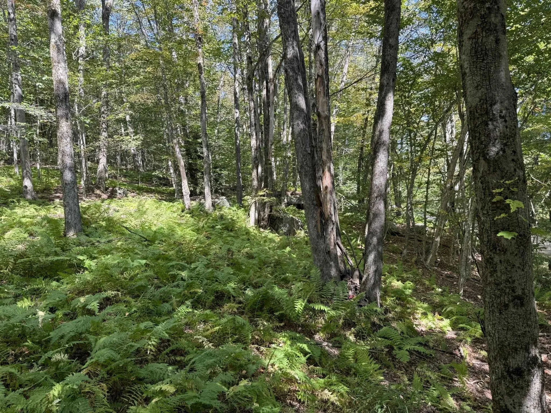 16 Schenk Road Stamford VT 05352