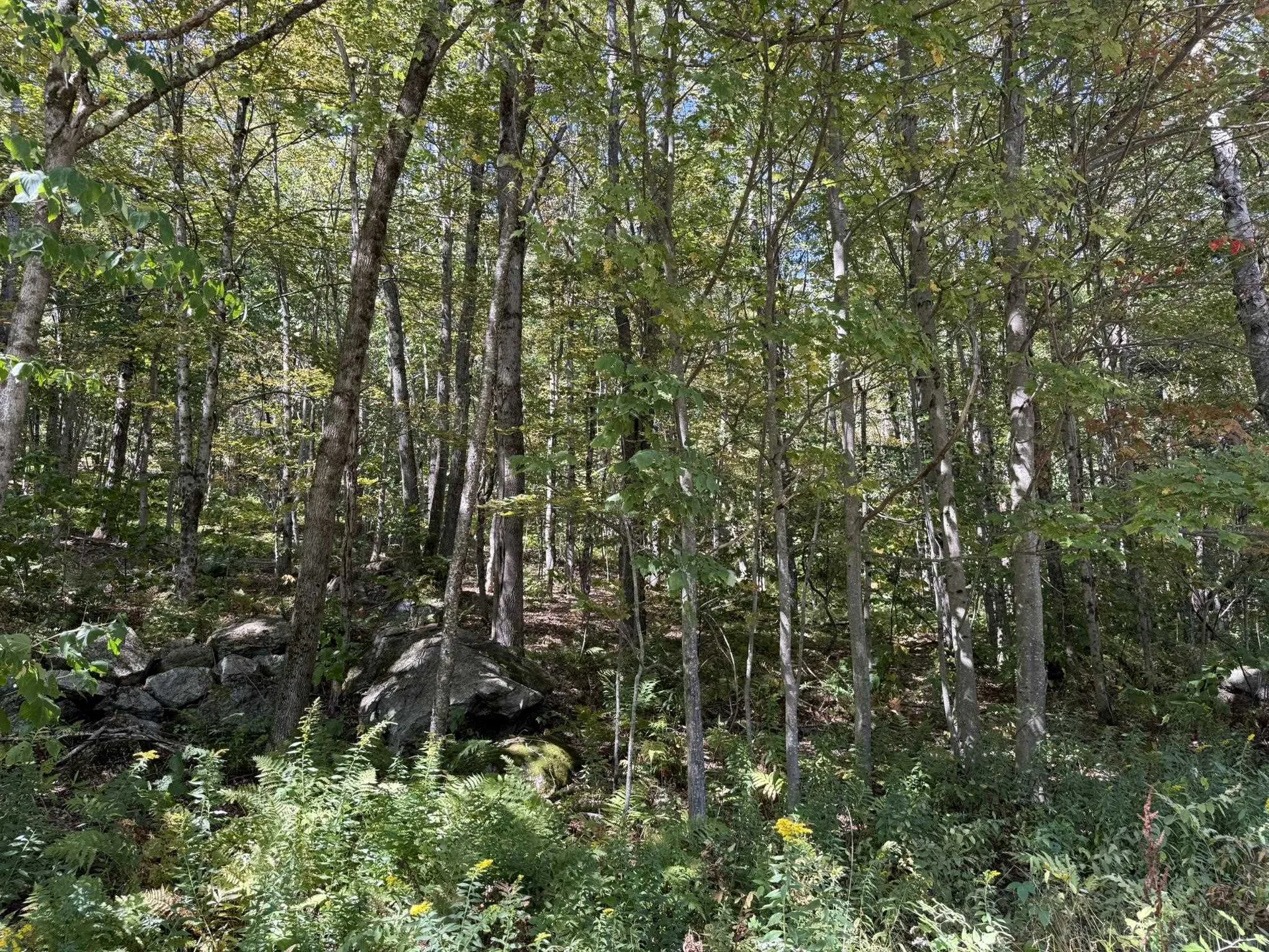 16 Schenk Road Stamford VT 05352