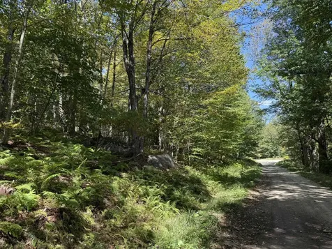 16 Schenk Road Stamford VT 05352