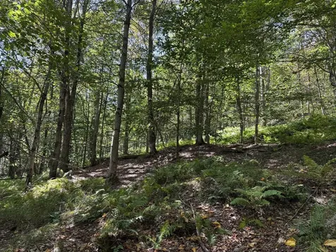 16 Schenk Road Stamford VT 05352