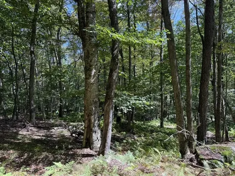 16 Schenk Road Stamford VT 05352