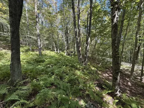 16 Schenk Road Stamford VT 05352