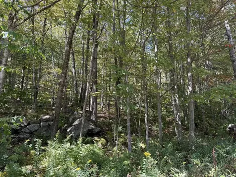 16 Schenk Road Stamford VT 05352