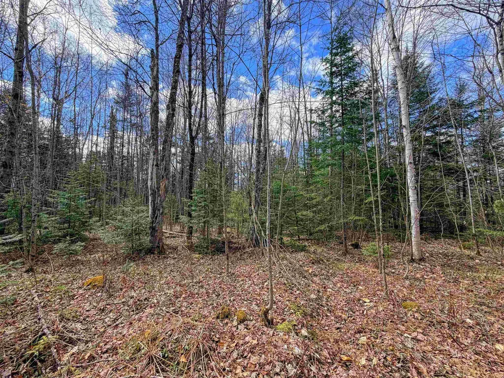 Lot 4 Oregon Road Concord VT 05824