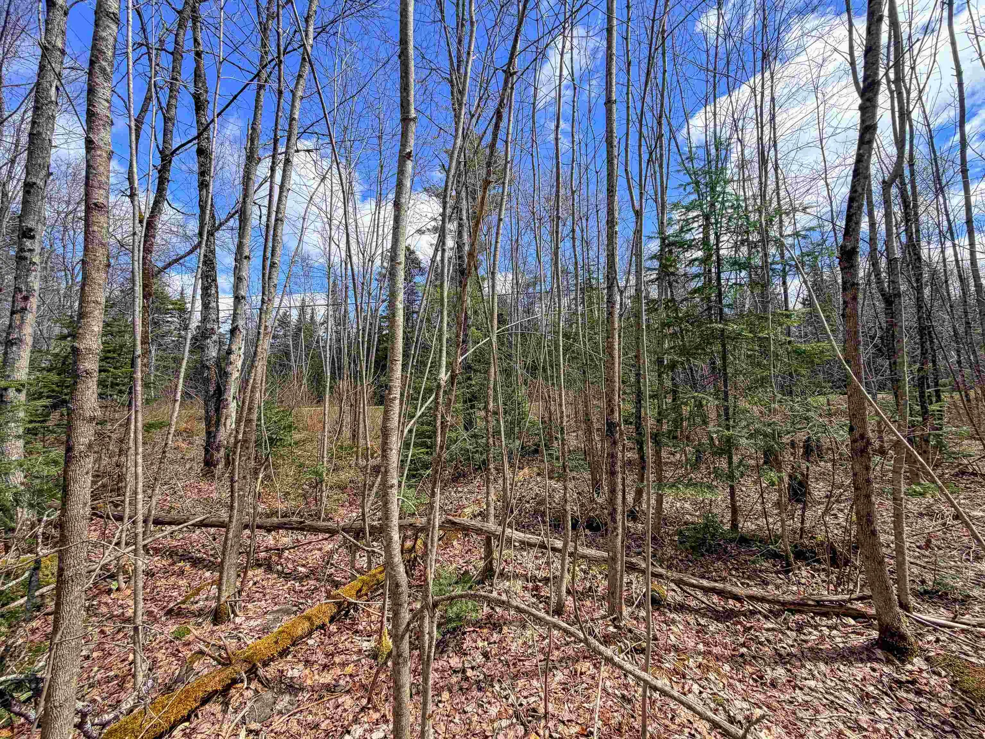 Lot 4 Oregon Road Concord VT 05824
