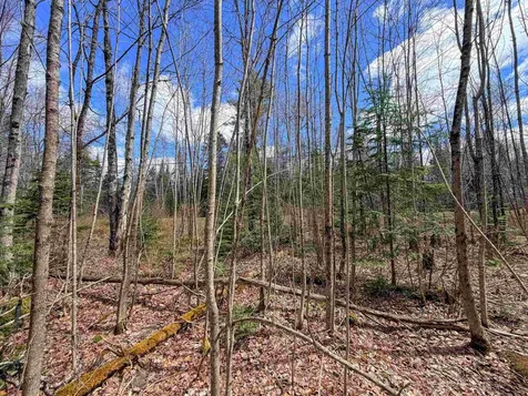 Lot 4 Oregon Road Concord VT 05824