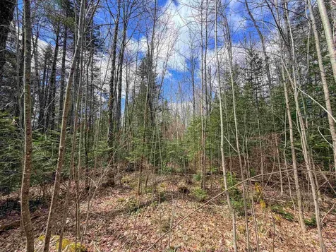 Lot 4 Oregon Road Concord VT 05824