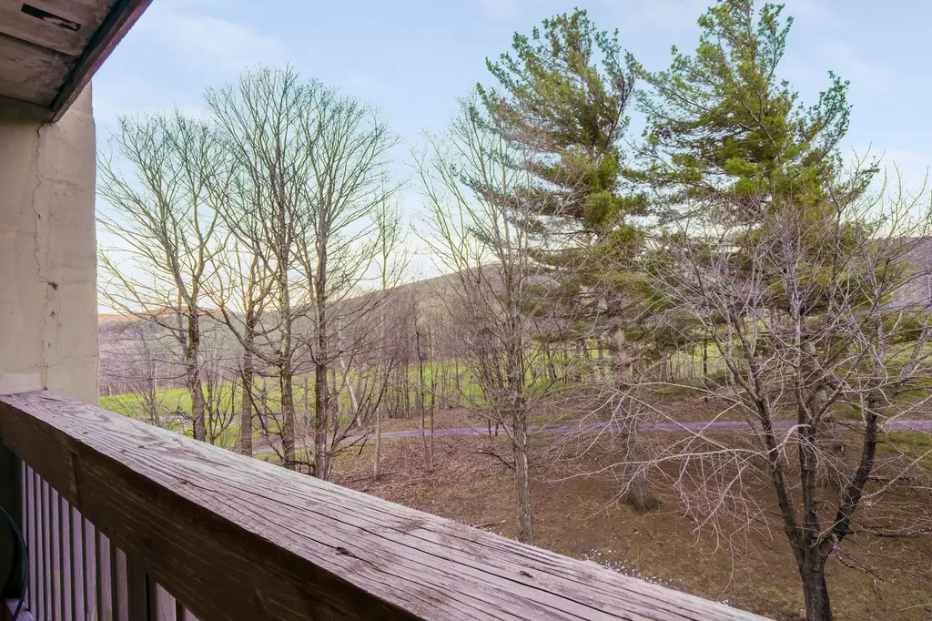 137 East Mountain Road Killington VT 05751