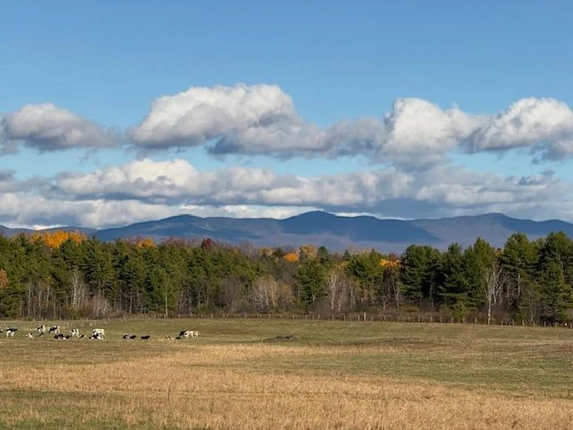 194 Old Sawmill Road Orwell VT 05778