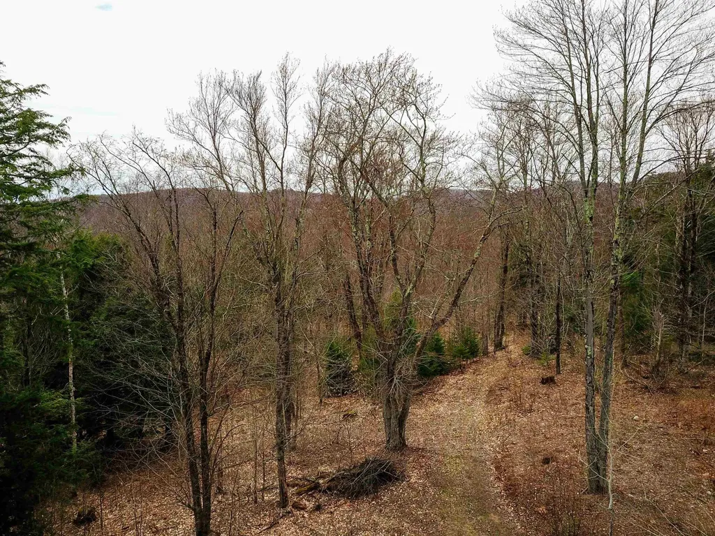 211 Poker Hill Road Underhill VT 05489