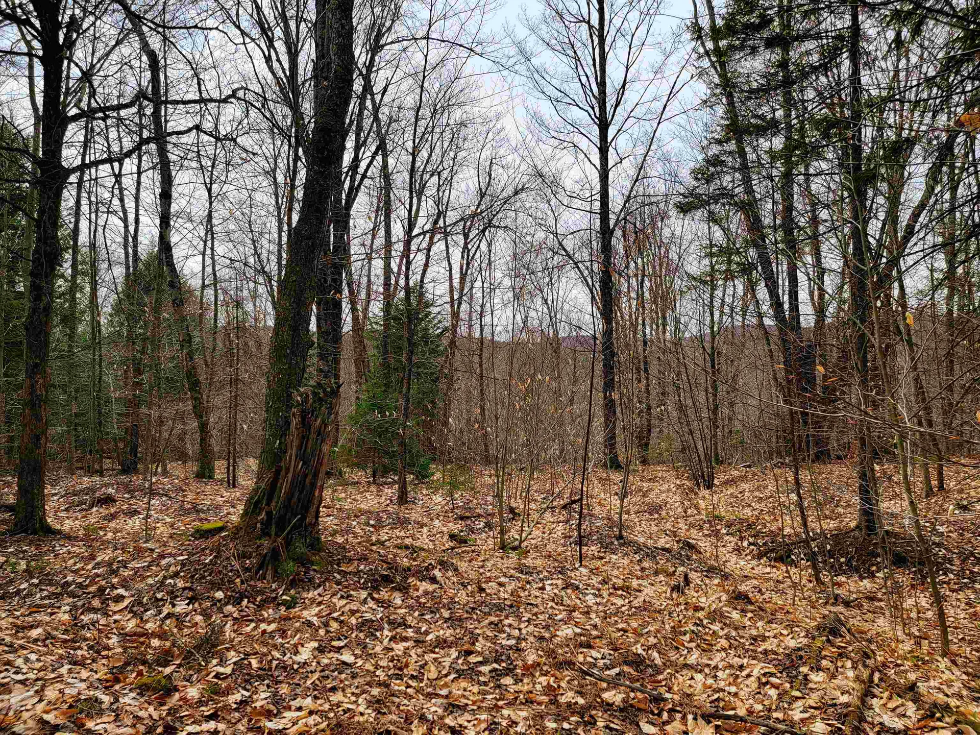 211 Poker Hill Road Underhill VT 05489