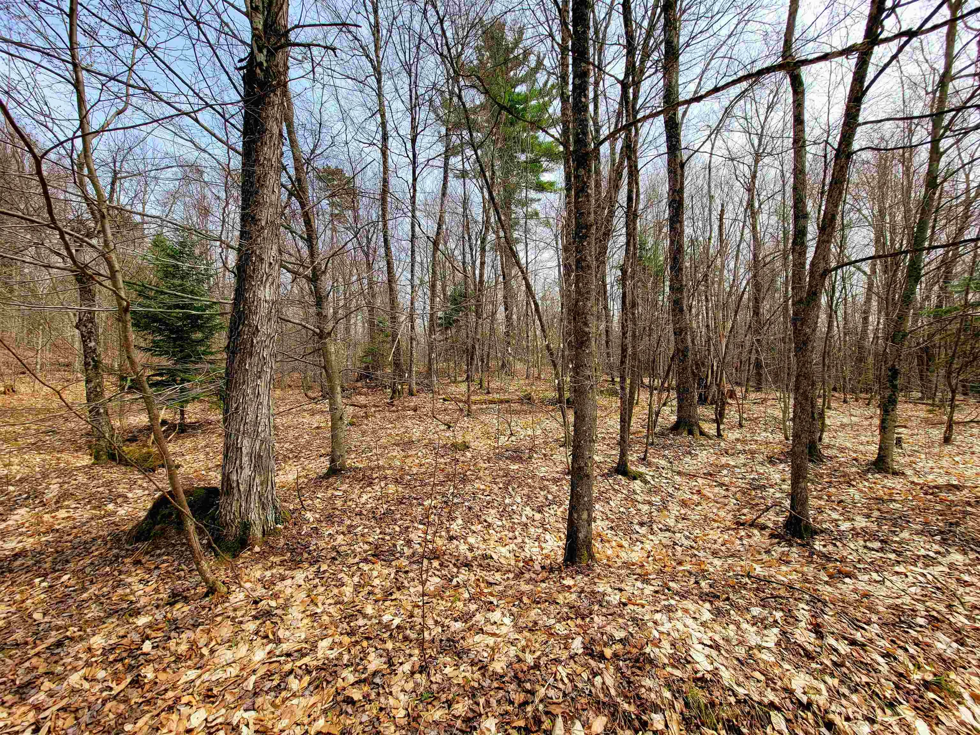 211 Poker Hill Road Underhill VT 05489