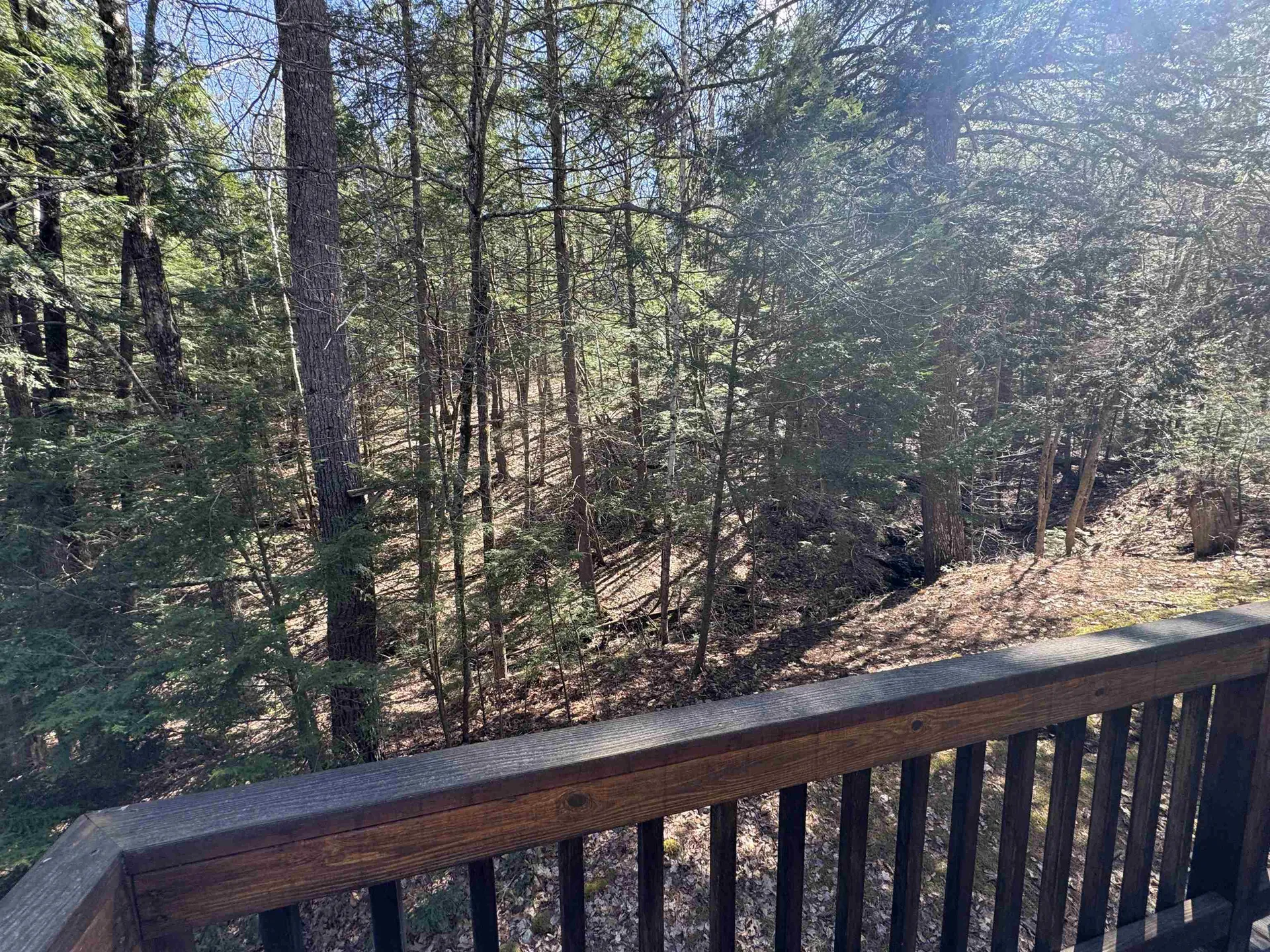 17 Desmond Drive Wakefield NH 03830