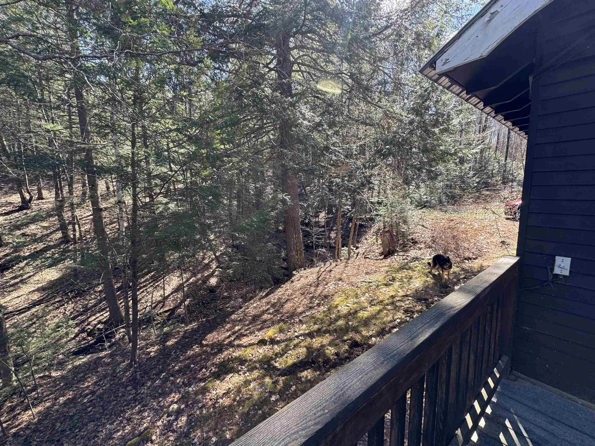 17 Desmond Drive Wakefield NH 03830