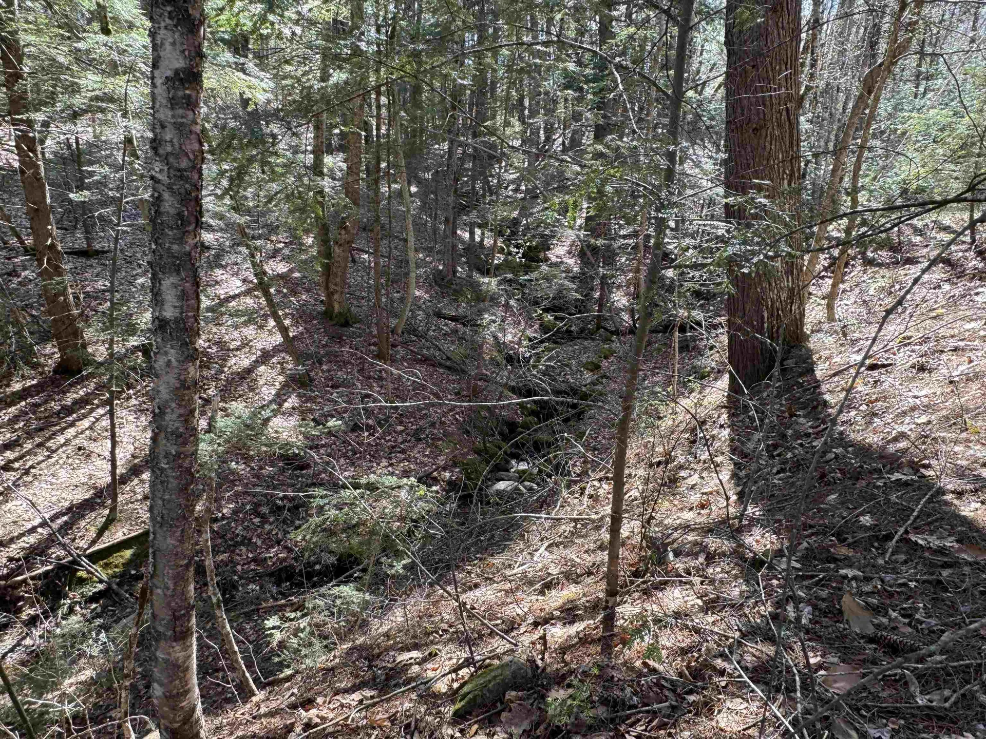 17 Desmond Drive Wakefield NH 03830