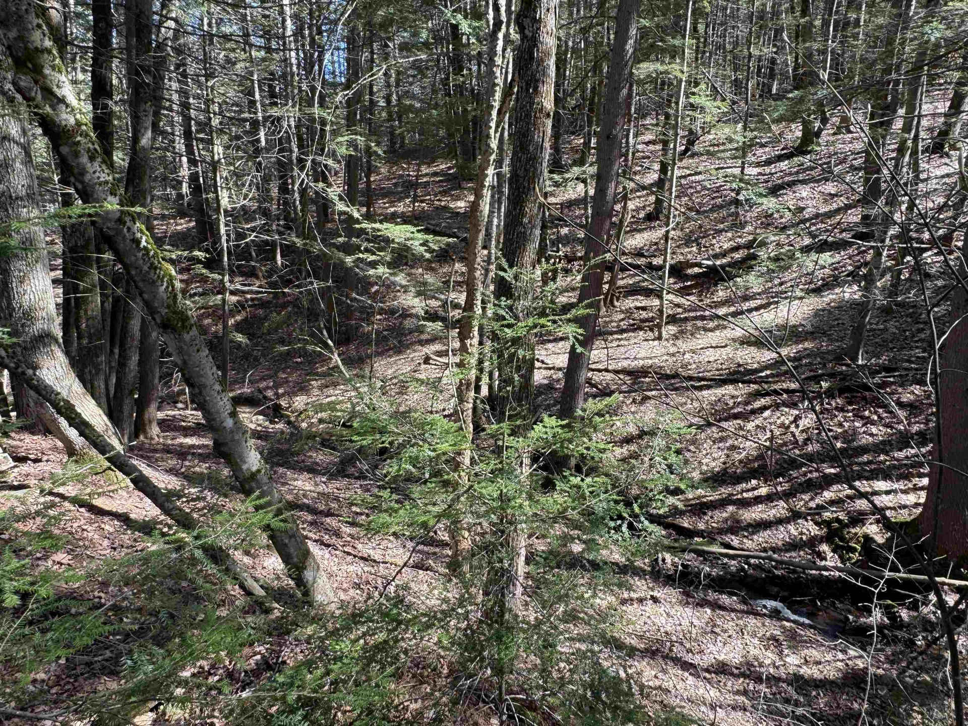 17 Desmond Drive Wakefield NH 03830