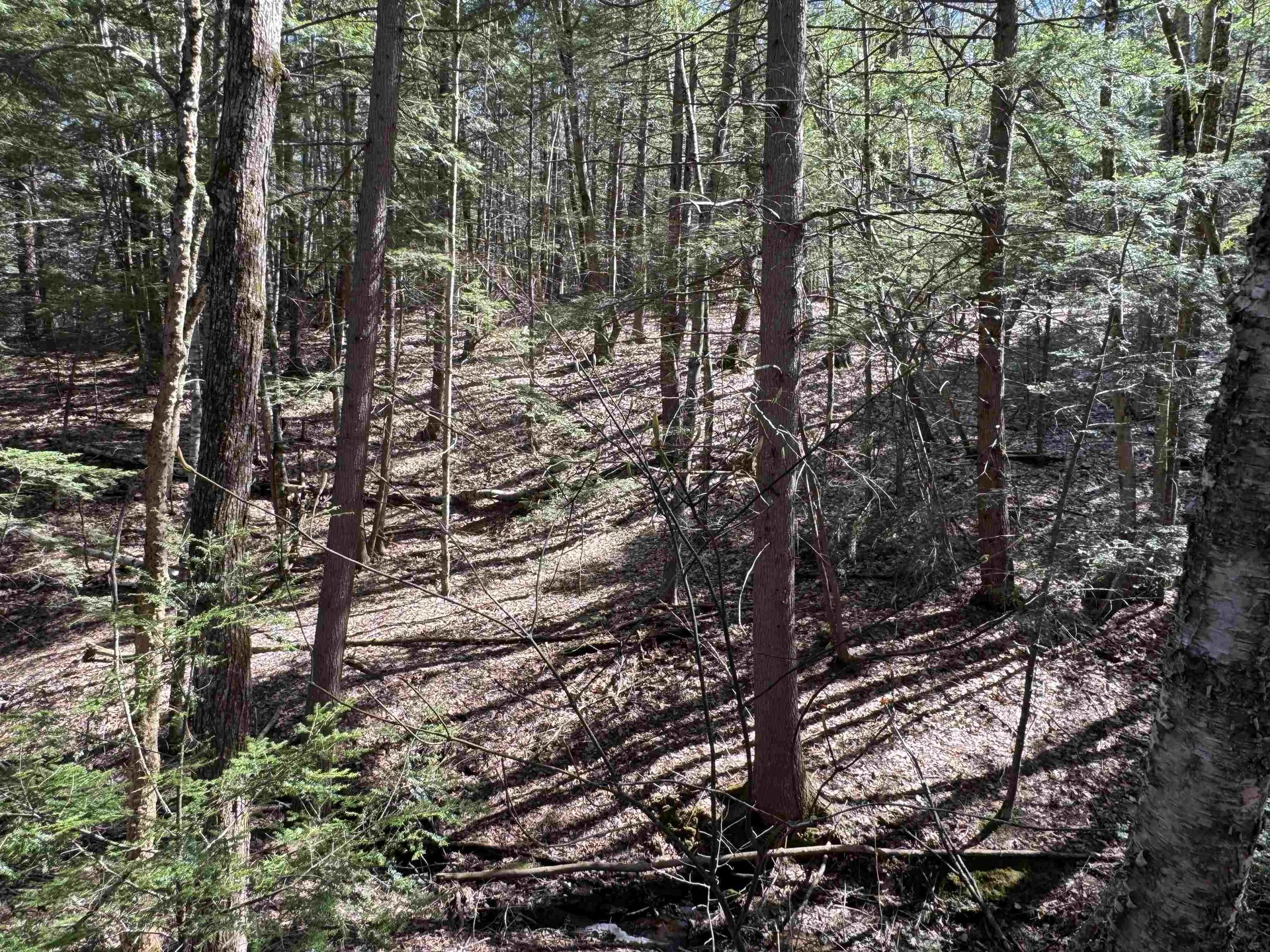 17 Desmond Drive Wakefield NH 03830