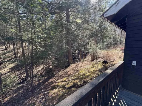 17 Desmond Drive Wakefield NH 03830