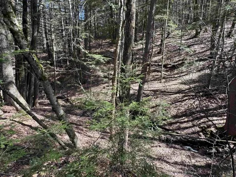 17 Desmond Drive Wakefield NH 03830